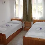 Tavilogullari 3*