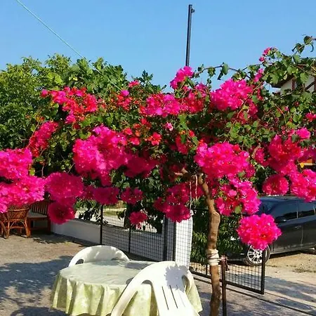 Tavilogullari Aparthotel