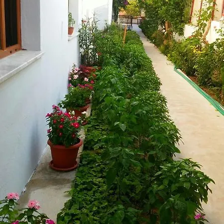 Tavilogullari 3*