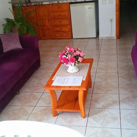 Tavilogullari アパートホテル ダルヤン